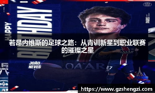 三亿体育官方网站